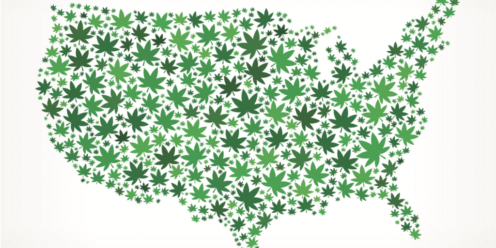 Cannabis To Play Role In The 2020 Presidential Election