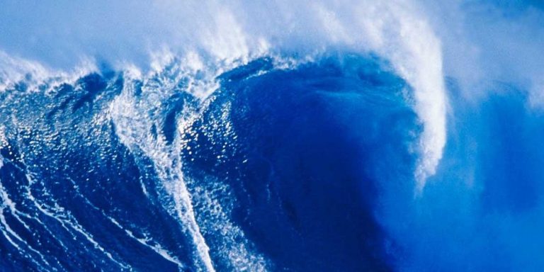 Democrats Have Odds To Win By A Landslide In All Categories