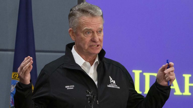 Idaho 2026 Primary Recap: Little and Risch Advance