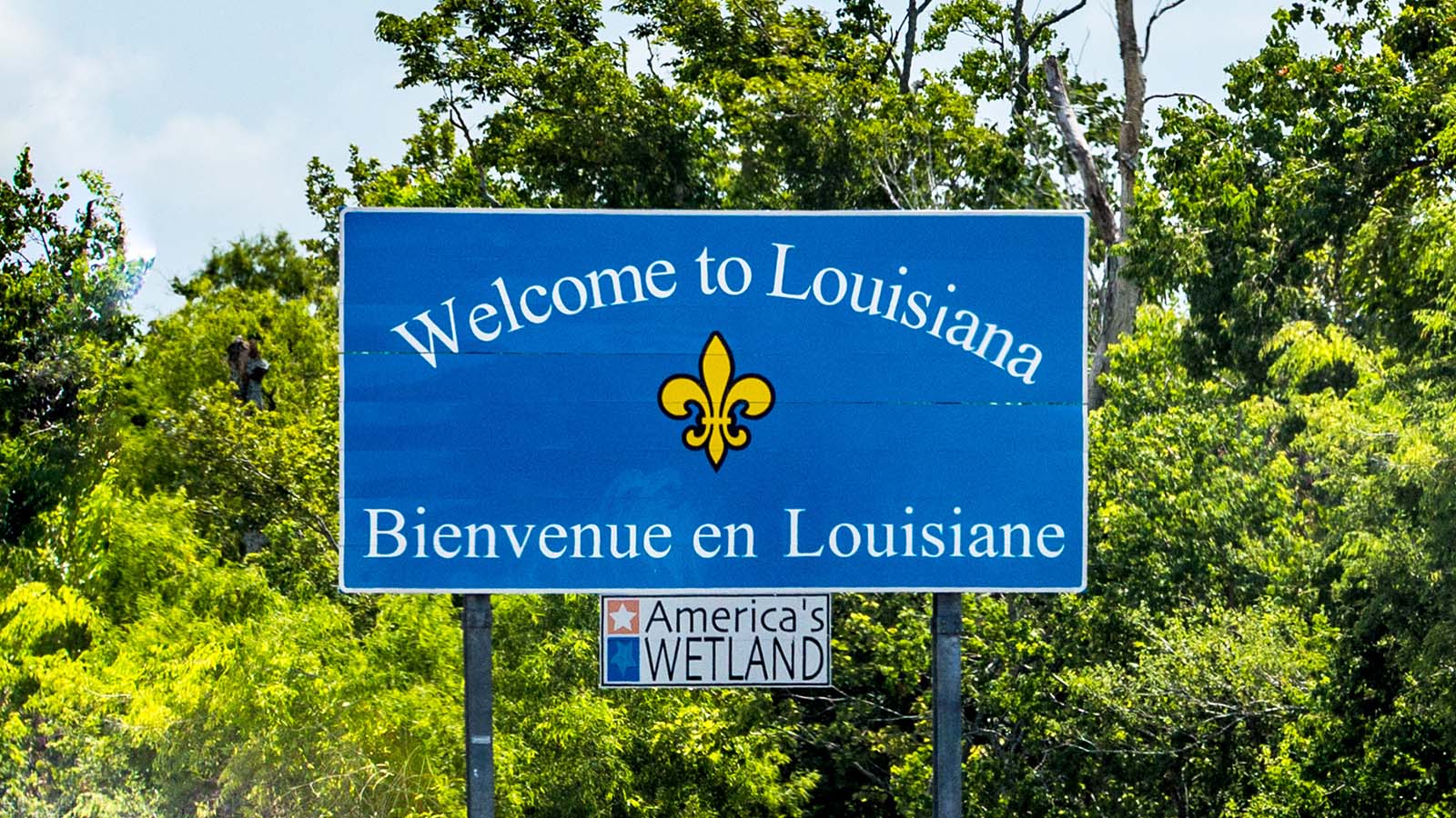 Louisiana Redistricting: What the New Map Means for Odds
