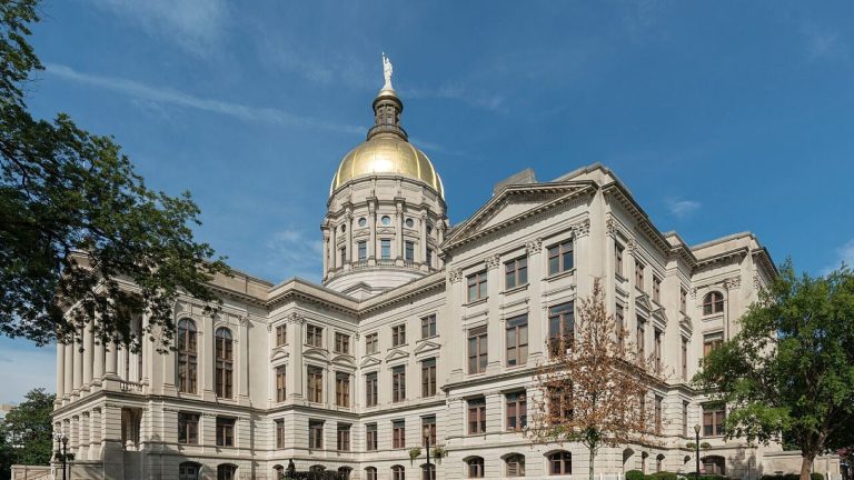 GA-13 Special Election Recap: Scott Leads Blair Into an Aug. 25 Runoff