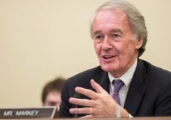 Massachusetts Primary Recap: Markey Cruises As Neal Sweats