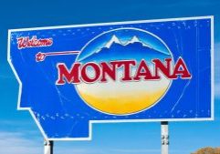 Montana 2026: Senate and House Race Odds Preview